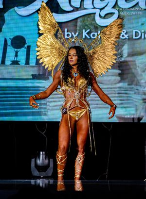 FIT-ANGELS (2 раунд)